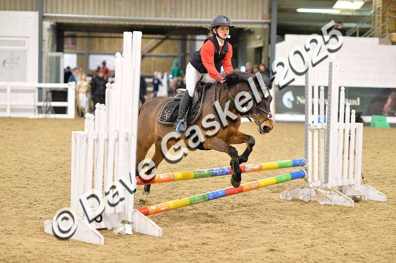 D4N_6820 - NorthcoteSat8thDec'25 XmasShowJumping AvailableUntil6thJan'26