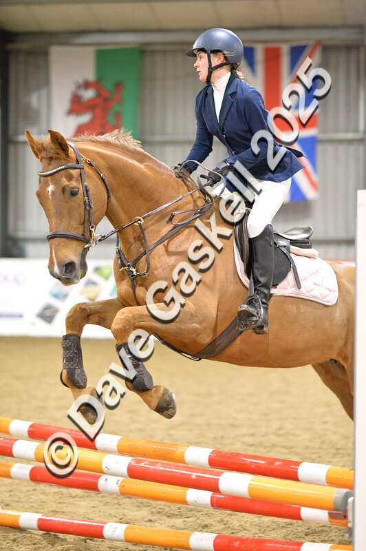 D4N_6145 - NorthcoteSun16thNov'25 Unaff.Jumping AvailableUntil16thDec'25