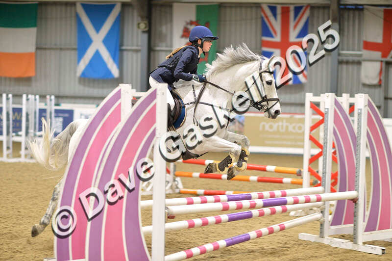 D4N_5793 - NorthcoteSun16thNov'25 Unaff.Jumping AvailableUntil16thDec'25