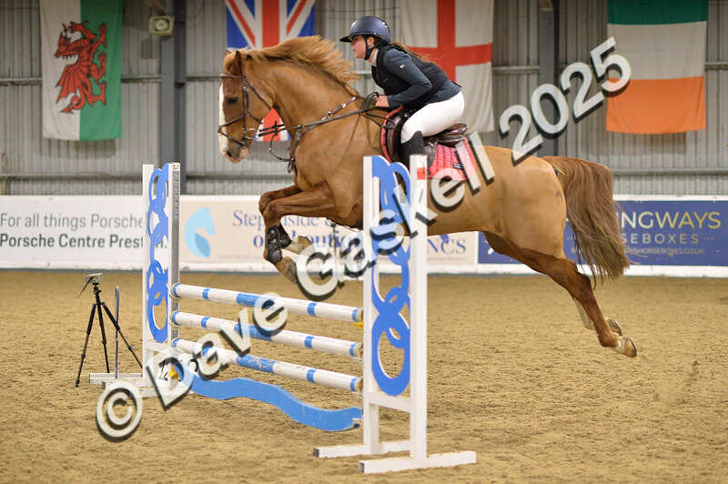 D4N_6276 - NorthcoteSun16thNov'25 Unaff.Jumping AvailableUntil16thDec'25