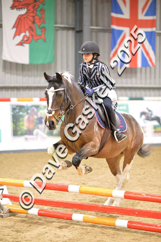 D4N_4814 - NorthcoteSun26thOct'25 Unaff.Jumping AvailableUntil28thNov'25