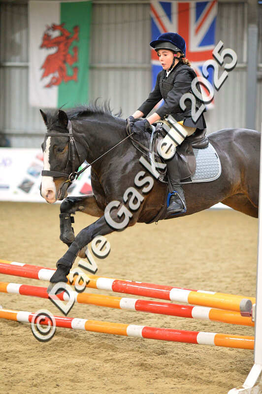 D4N_5614 - NorthcoteSun16thNov'25 Unaff.Jumping AvailableUntil16thDec'25