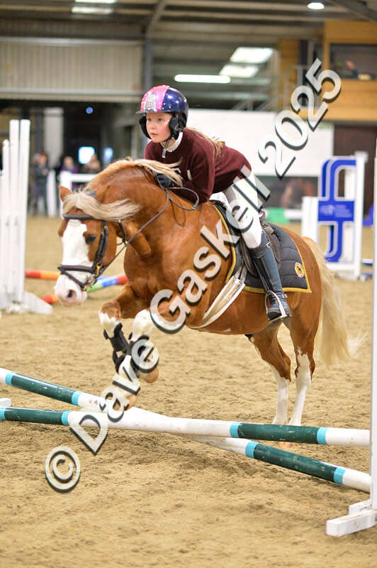 D4N_6644 - NorthcoteSat8thDec'25 XmasShowJumping AvailableUntil6thJan'26