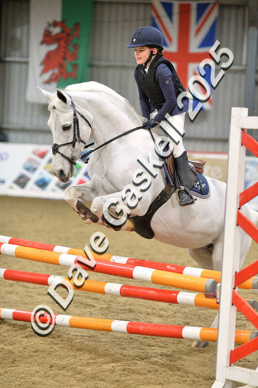 D4N_5828 - NorthcoteSun16thNov'25 Unaff.Jumping AvailableUntil16thDec'25