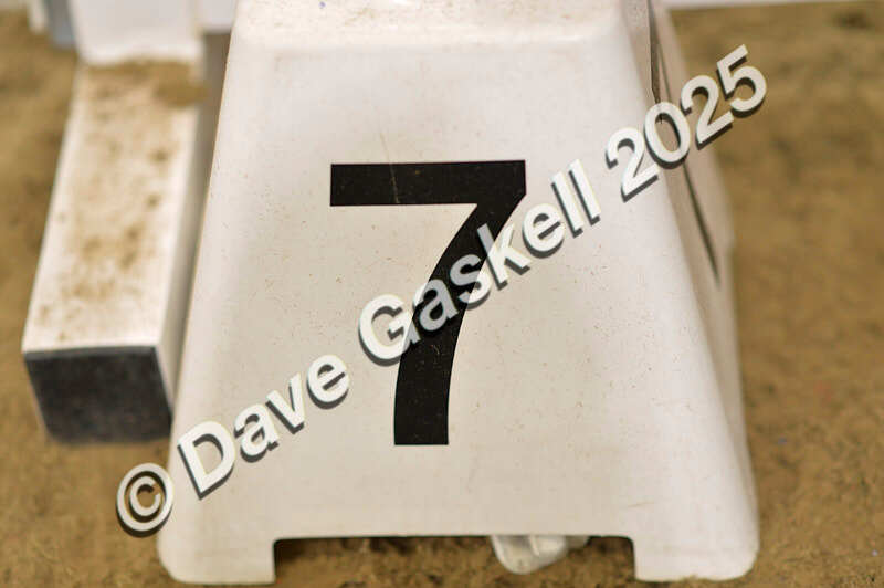 D4N_5959 - NorthcoteSun16thNov'25 Unaff.Jumping AvailableUntil16thDec'25