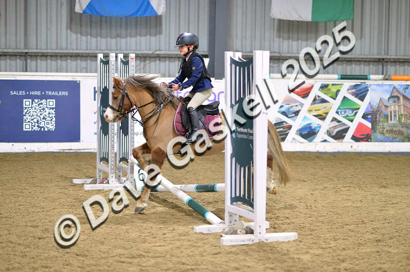 D4N_5507 - NorthcoteSun16thNov'25 Unaff.Jumping AvailableUntil16thDec'25