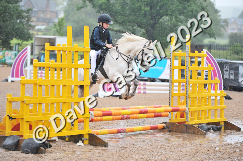 D8D_7142 - Juniors