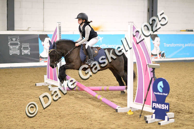 D4N_5514 - NorthcoteSun16thNov'25 Unaff.Jumping AvailableUntil16thDec'25