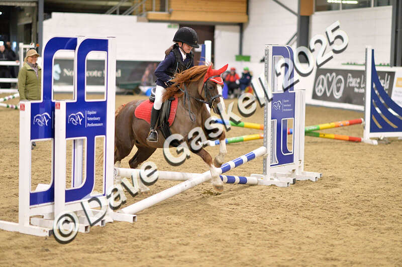 D4N_4620 - NorthcoteSun26thOct'25 Unaff.Jumping AvailableUntil28thNov'25