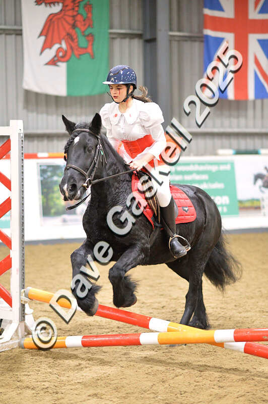 D4N_4711 - NorthcoteSun26thOct'25 Unaff.Jumping AvailableUntil28thNov'25