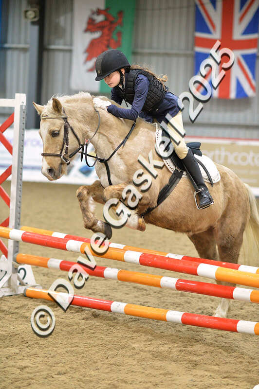 D4N_5713 - NorthcoteSun16thNov'25 Unaff.Jumping AvailableUntil16thDec'25