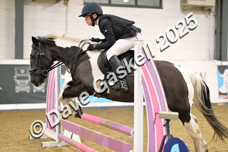 D4N_5722 - NorthcoteSun16thNov'25 Unaff.Jumping AvailableUntil16thDec'25