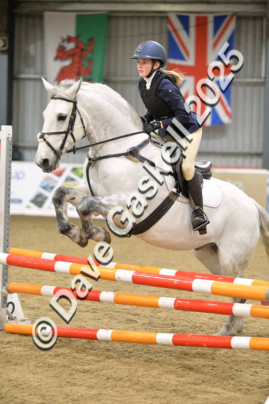 D4N_5897 - NorthcoteSun16thNov'25 Unaff.Jumping AvailableUntil16thDec'25