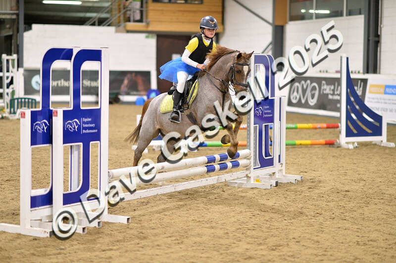 D4N_4842 - NorthcoteSun26thOct'25 Unaff.Jumping AvailableUntil28thNov'25