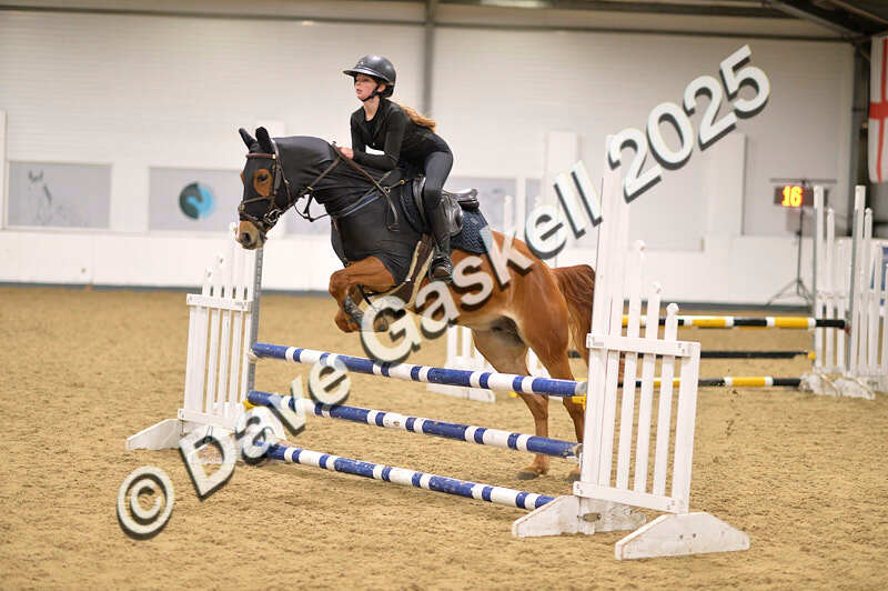 D4N_5104 - NorthcoteSun26thOct'25 Unaff.Jumping AvailableUntil28thNov'25