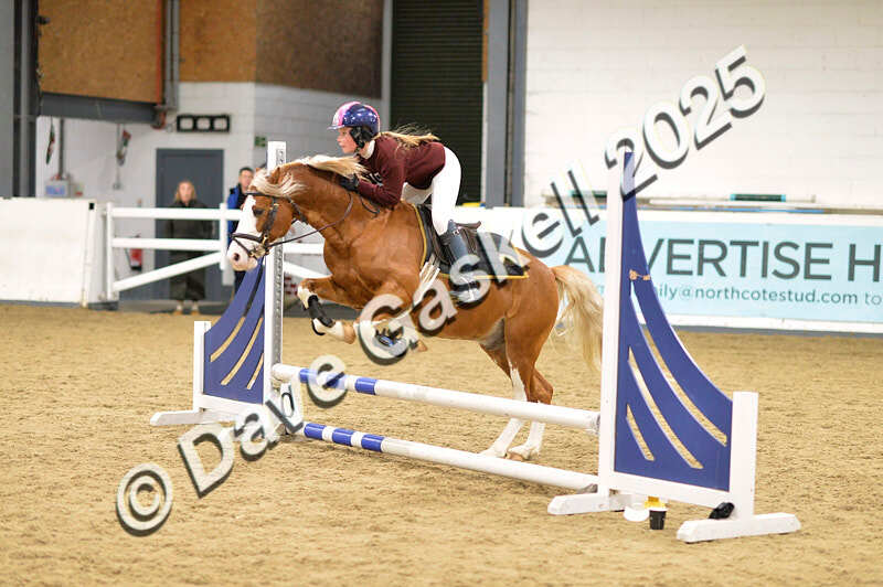 D4N_6661 - NorthcoteSat8thDec'25 XmasShowJumping AvailableUntil6thJan'26