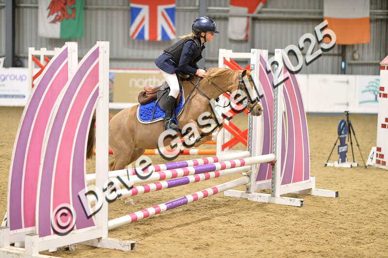 D4N_5681 - NorthcoteSun16thNov'25 Unaff.Jumping AvailableUntil16thDec'25