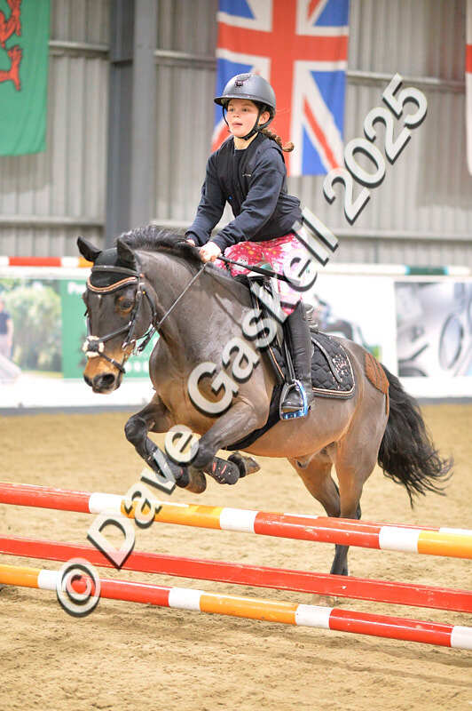 D4N_4914 - NorthcoteSun26thOct'25 Unaff.Jumping AvailableUntil28thNov'25