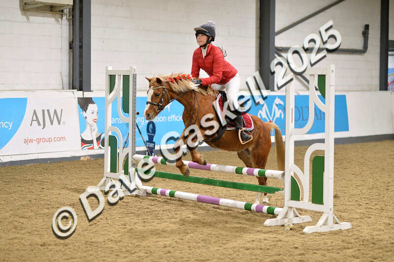 D4N_6887 - NorthcoteSat8thDec'25 XmasShowJumping AvailableUntil6thJan'26