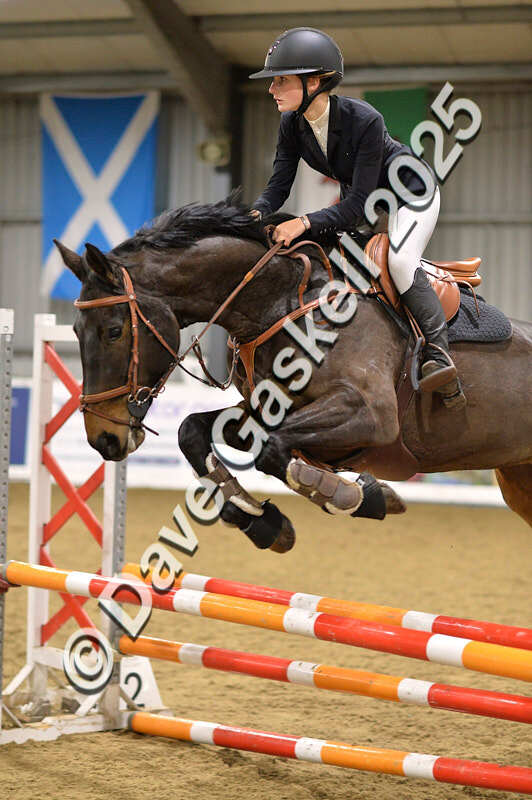 D4N_6412 - NorthcoteSun16thNov'25 Unaff.Jumping AvailableUntil16thDec'25