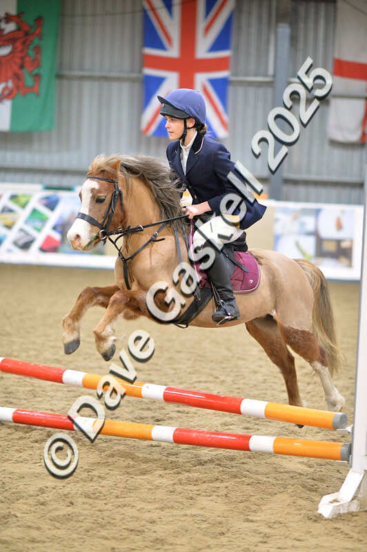 D4N_5527 - NorthcoteSun16thNov'25 Unaff.Jumping AvailableUntil16thDec'25