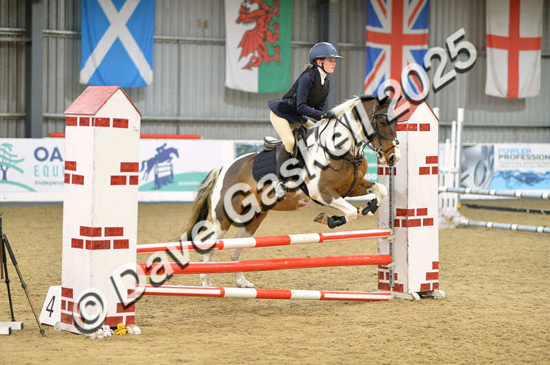 D4N_5796 - NorthcoteSun16thNov'25 Unaff.Jumping AvailableUntil16thDec'25