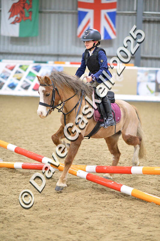 D4N_5505 - NorthcoteSun16thNov'25 Unaff.Jumping AvailableUntil16thDec'25