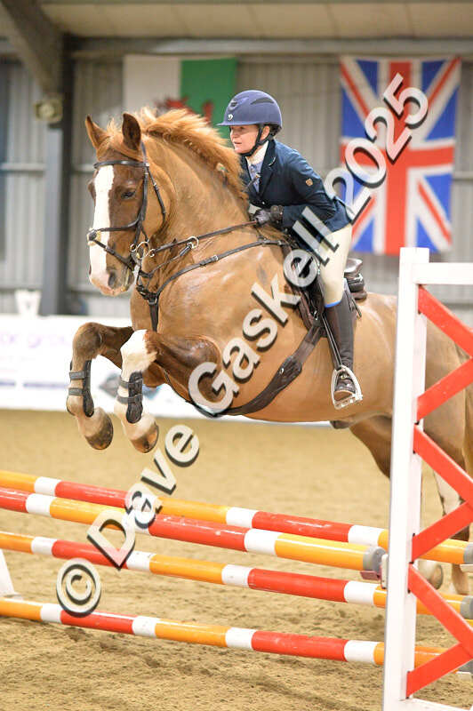 D4N_6365 - NorthcoteSun16thNov'25 Unaff.Jumping AvailableUntil16thDec'25