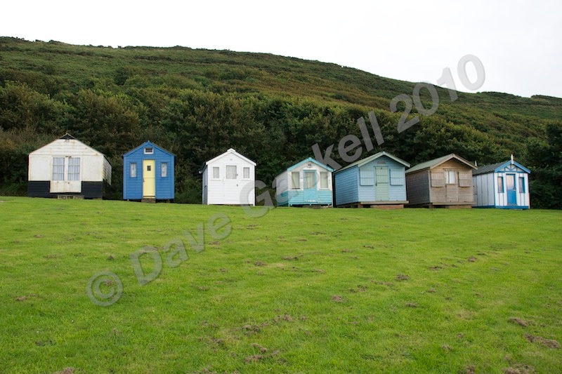 DSC_5668 - Westward Ho!