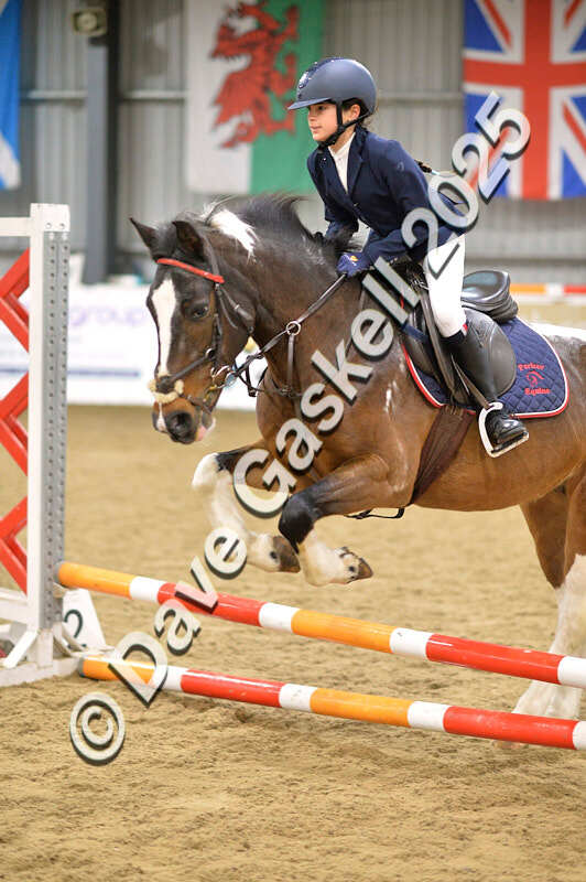 D4N_5552 - NorthcoteSun16thNov'25 Unaff.Jumping AvailableUntil16thDec'25