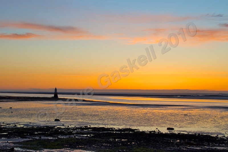DSC_2790 - Plover Scar - Cockerham