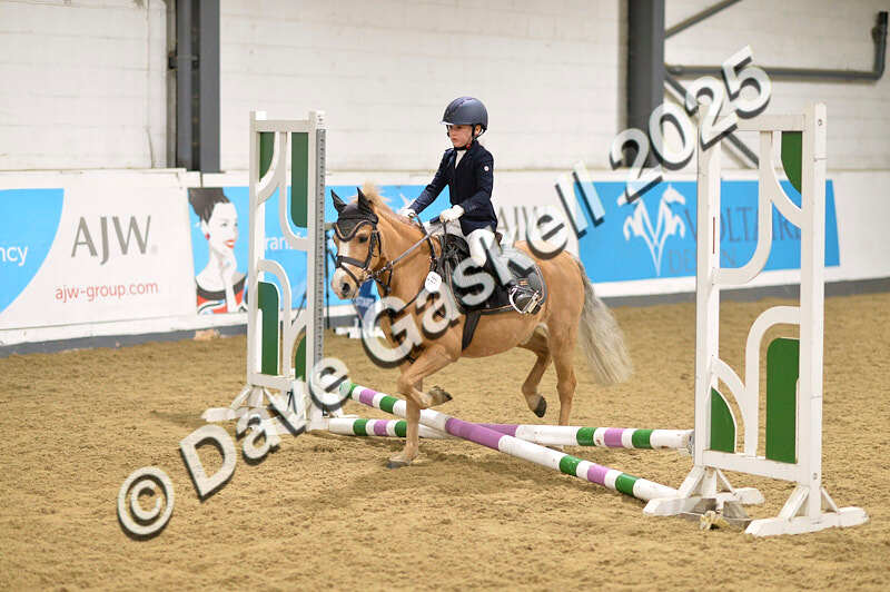 D4N_6627 - NorthcoteSat8thDec'25 XmasShowJumping AvailableUntil6thJan'26