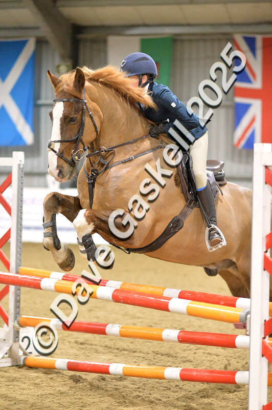 D4N_6480 - NorthcoteSun16thNov'25 Unaff.Jumping AvailableUntil16thDec'25