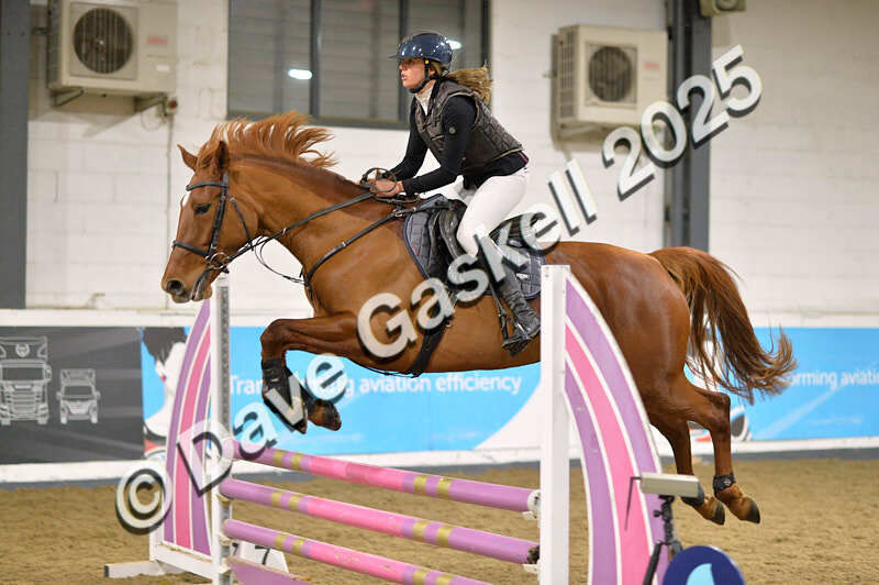 D4N_6320 - NorthcoteSun16thNov'25 Unaff.Jumping AvailableUntil16thDec'25