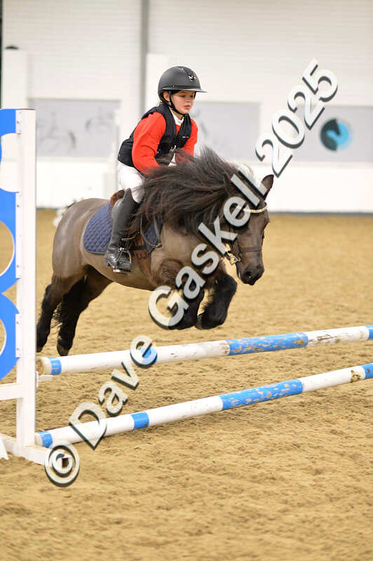 D4N_6680 - NorthcoteSat8thDec'25 XmasShowJumping AvailableUntil6thJan'26
