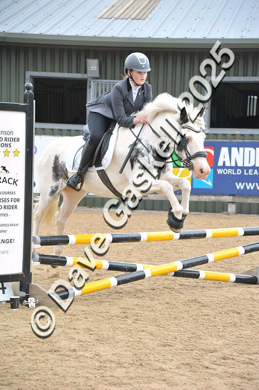 D8F_3591 - NorthcoteSat9thAug'25 Unaff.ShowJumping AvailableUntil9thSept25