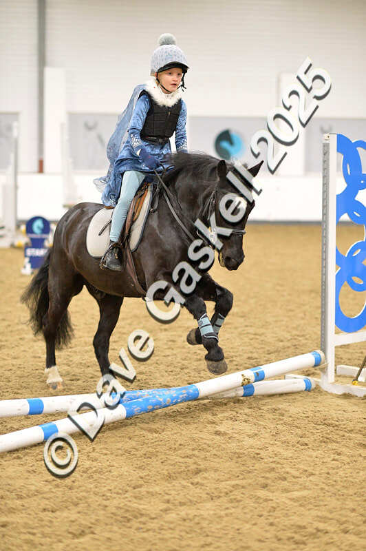 D4N_6611 - NorthcoteSat8thDec'25 XmasShowJumping AvailableUntil6thJan'26