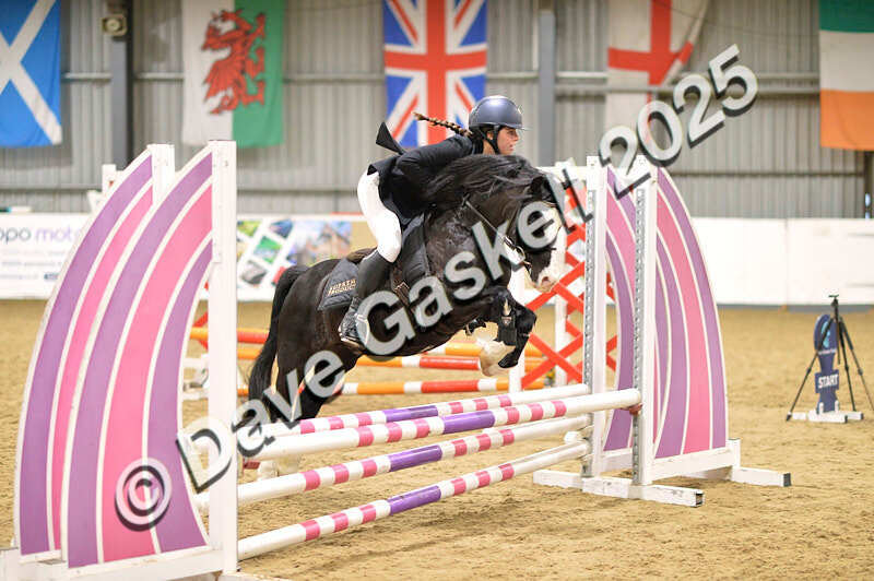 D4N_5988 - NorthcoteSun16thNov'25 Unaff.Jumping AvailableUntil16thDec'25