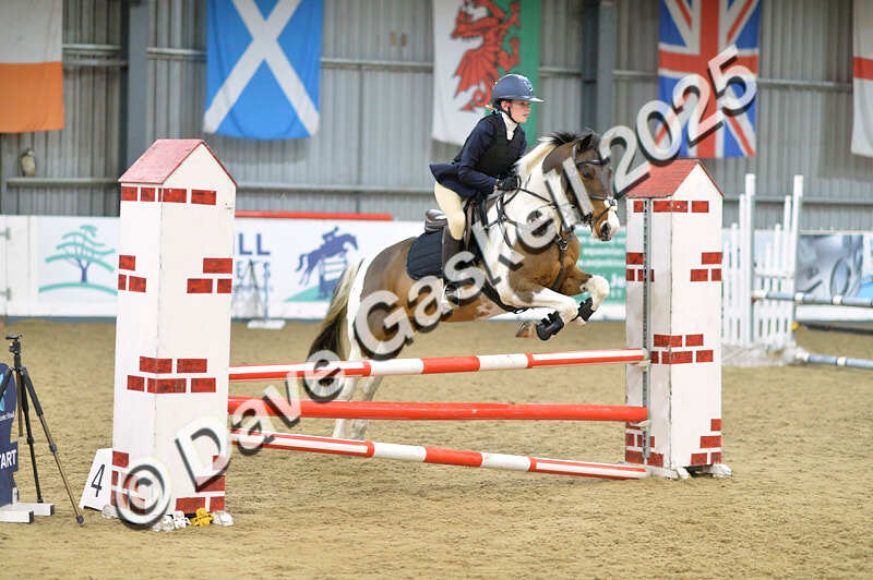 D4N_5815 - NorthcoteSun16thNov'25 Unaff.Jumping AvailableUntil16thDec'25