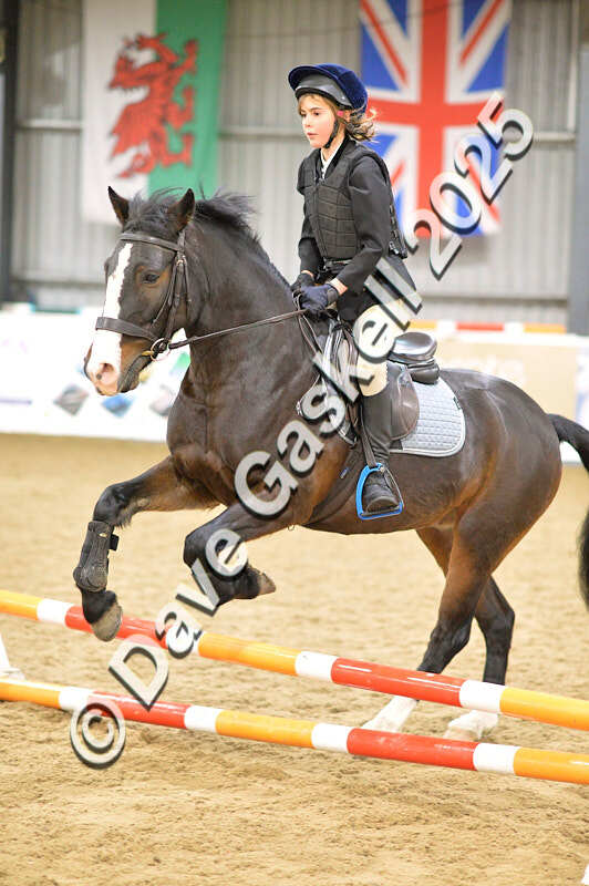 D4N_5570 - NorthcoteSun16thNov'25 Unaff.Jumping AvailableUntil16thDec'25