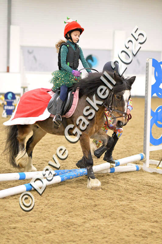 D4N_6650 - NorthcoteSat8thDec'25 XmasShowJumping AvailableUntil6thJan'26