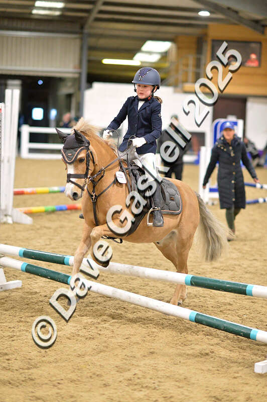 D4N_6687 - NorthcoteSat8thDec'25 XmasShowJumping AvailableUntil6thJan'26