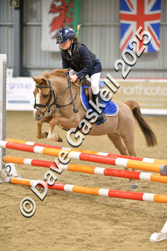 D4N_5696 - NorthcoteSun16thNov'25 Unaff.Jumping AvailableUntil16thDec'25