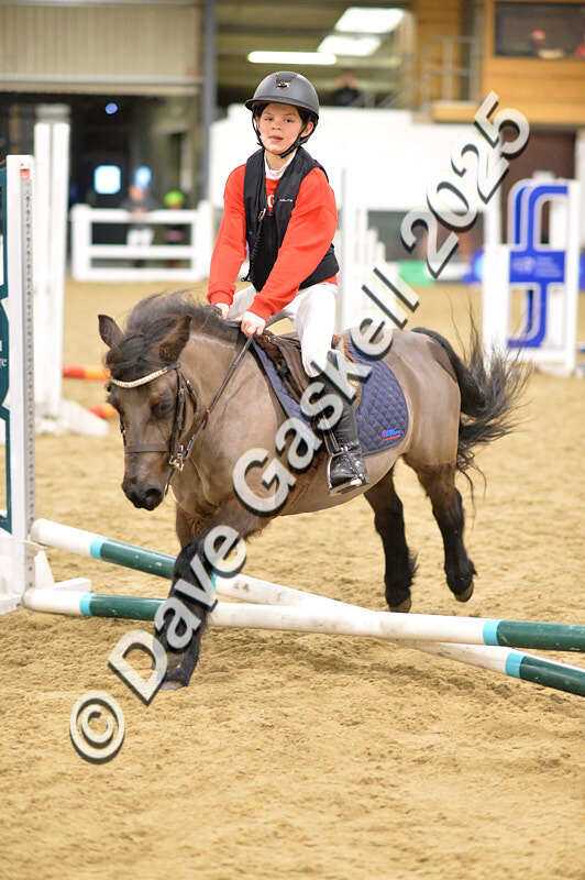 D4N_6606 - NorthcoteSat8thDec'25 XmasShowJumping AvailableUntil6thJan'26