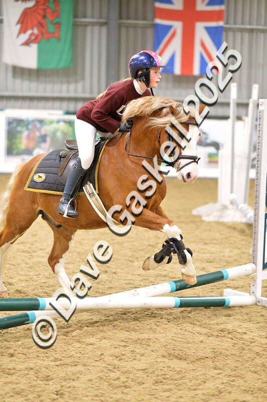 D4N_6641 - NorthcoteSat8thDec'25 XmasShowJumping AvailableUntil6thJan'26