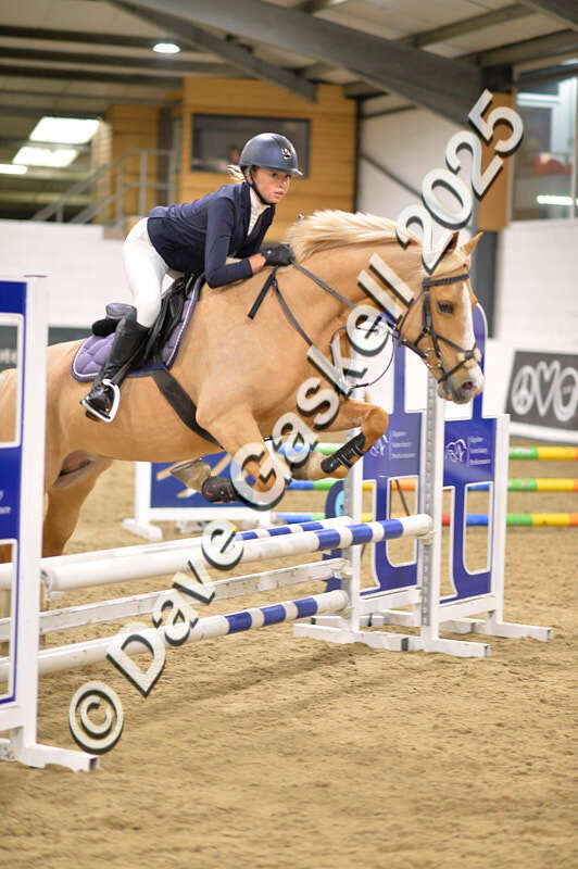 D4N_5074 - NorthcoteSun26thOct'25 Unaff.Jumping AvailableUntil28thNov'25