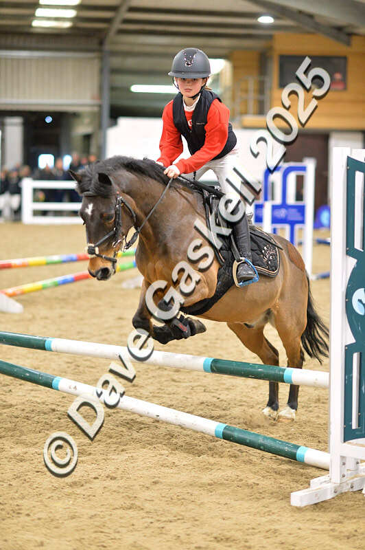 D4N_6824 - NorthcoteSat8thDec'25 XmasShowJumping AvailableUntil6thJan'26