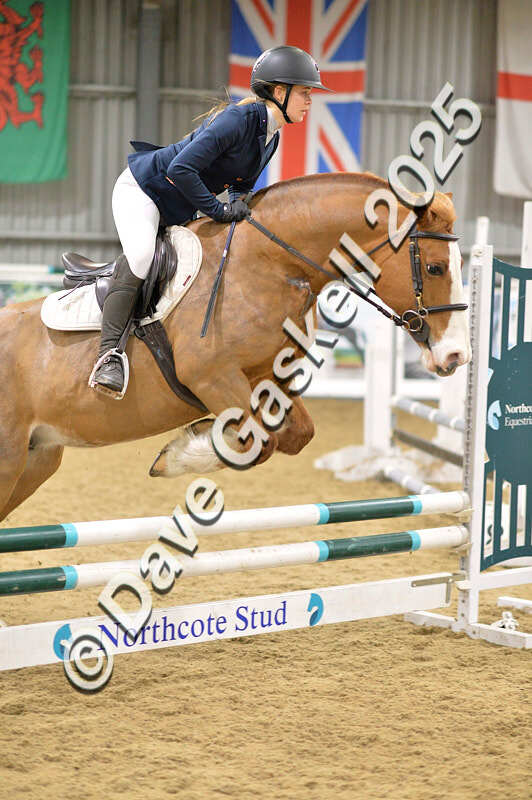 D4N_6904 - NorthcoteSat8thDec'25 XmasShowJumping AvailableUntil6thJan'26