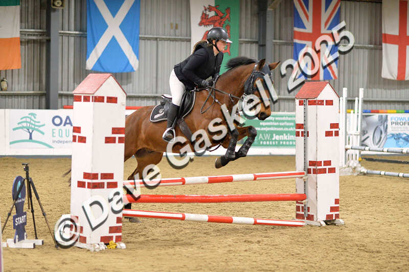 D4N_6194 - NorthcoteSun16thNov'25 Unaff.Jumping AvailableUntil16thDec'25