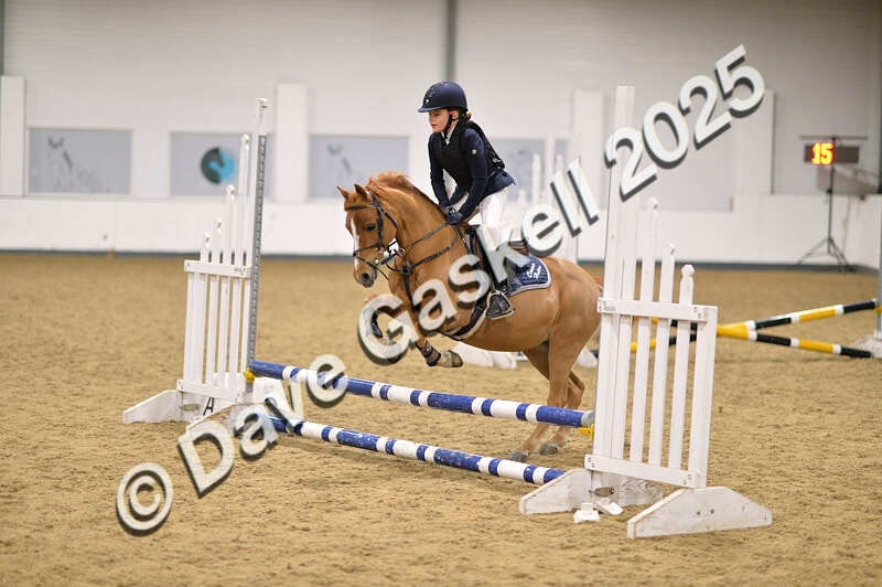 D4N_4848 - NorthcoteSun26thOct'25 Unaff.Jumping AvailableUntil28thNov'25